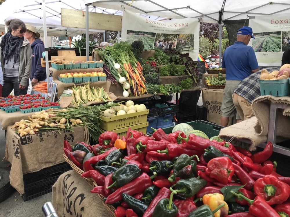 Tuesday Market: Fabulous local organic veggies at market